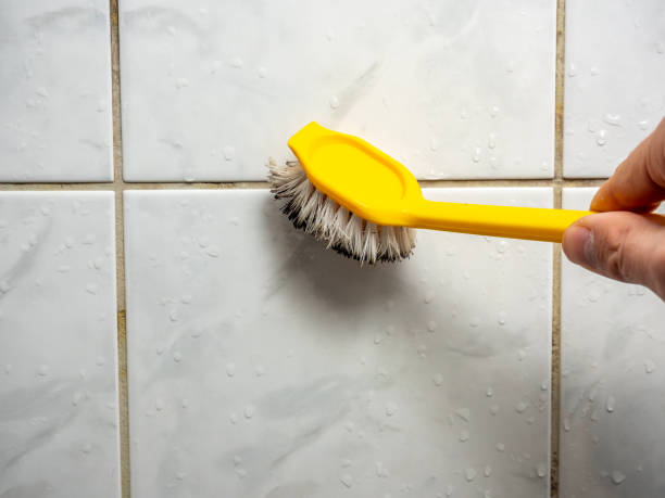 Best Same-Day Mold Removal  in Millersburg, PA