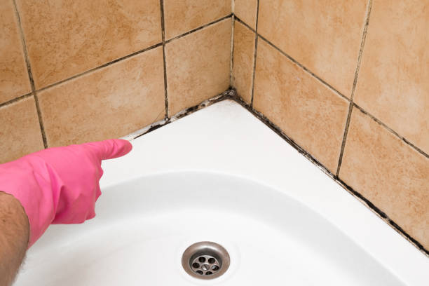 Best Mold Cleaning Services  in Millersburg, PA